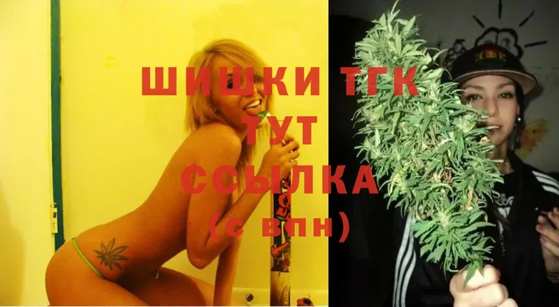 Бошки марихуана SATIVA & INDICA  купить закладку  Дзержинский 